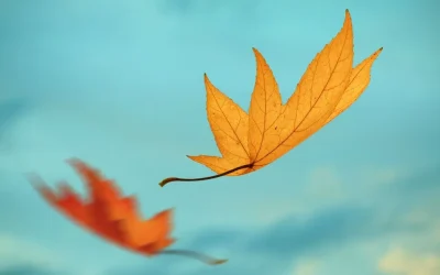 Autunno e weekend culturali!