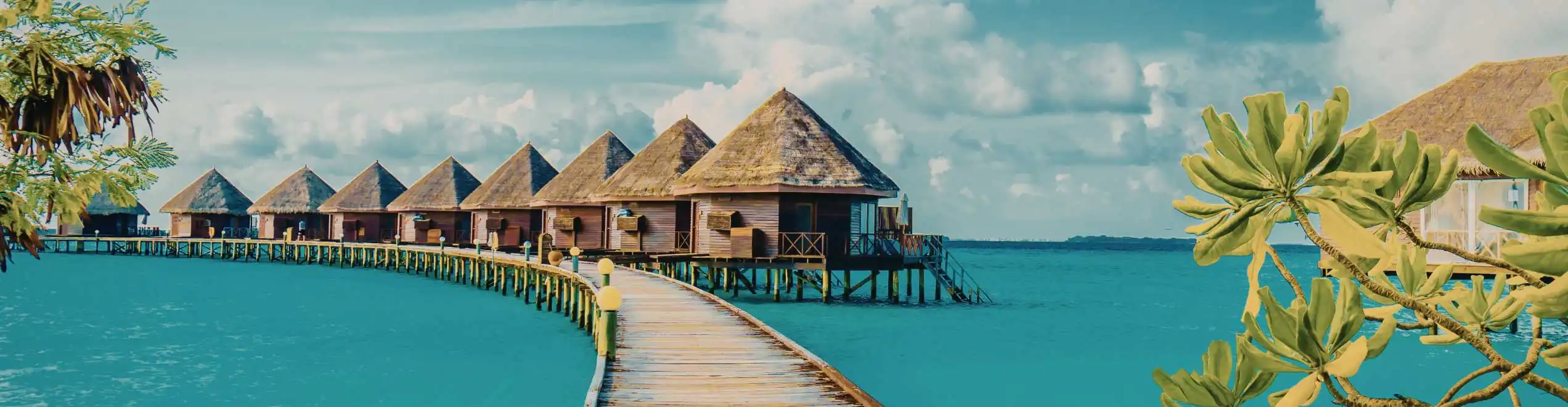 Cinque mete tropicali per la tua vacanza estiva 2026!